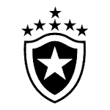 Botafogo RJ (Youth)