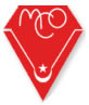 team logo - guest